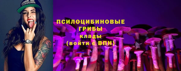 мяу мяу кристалл Гусиноозёрск