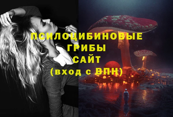 экстази Гусев