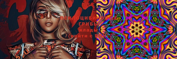 герыч Гусь-Хрустальный