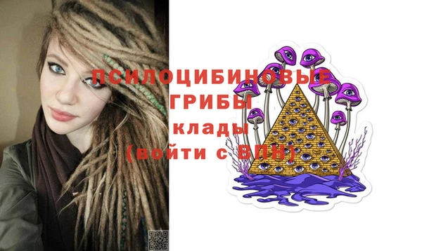 экстази Гусев