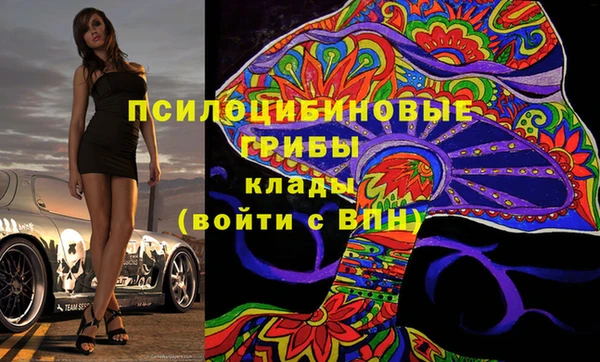 экстази Гусев