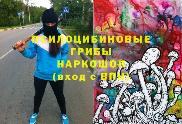 экстази Гусев