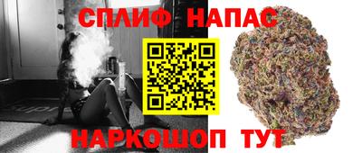 сатива Ставрополь