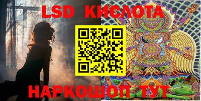 сатива Ставрополь