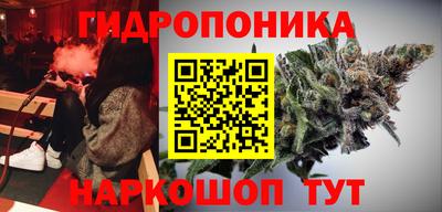 сатива Ставрополь