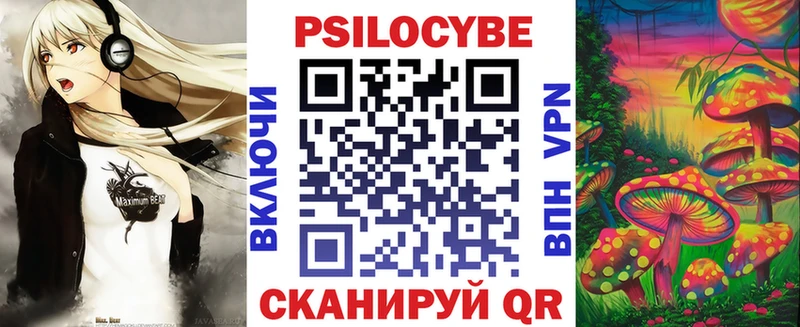 Псилоцибиновые грибы мицелий  купить наркотик  Спасск-Дальний 