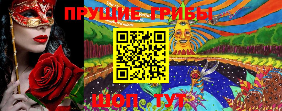 Галлюциногенные грибы Psilocybine cubensis Спасск-Дальний