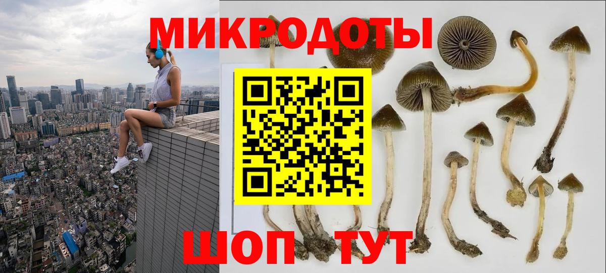Псилоцибиновые грибы Cubensis  Псилоцибиновые грибы Cubensis  Спасск-Дальний  Вход с VPN 